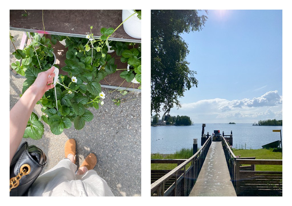 June diary4