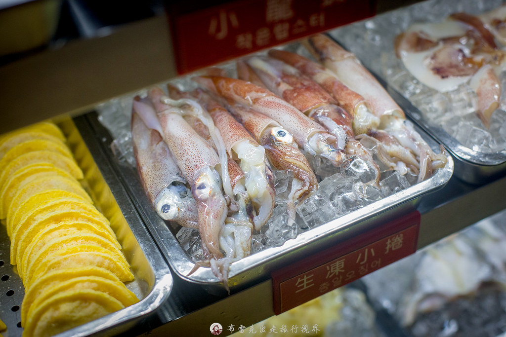  @布雷克的出走旅行視界