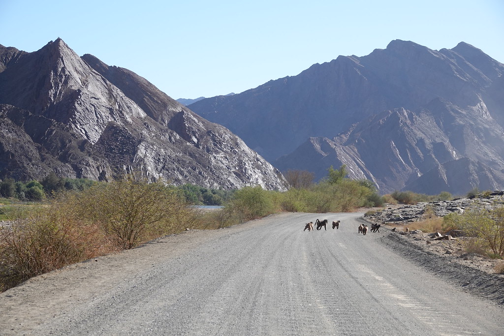 Животные и камни Намибии летом 2024 года