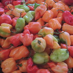 19 Chiles