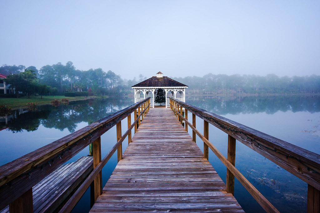 Dreaming ia photographs　 Marku AloneAgain