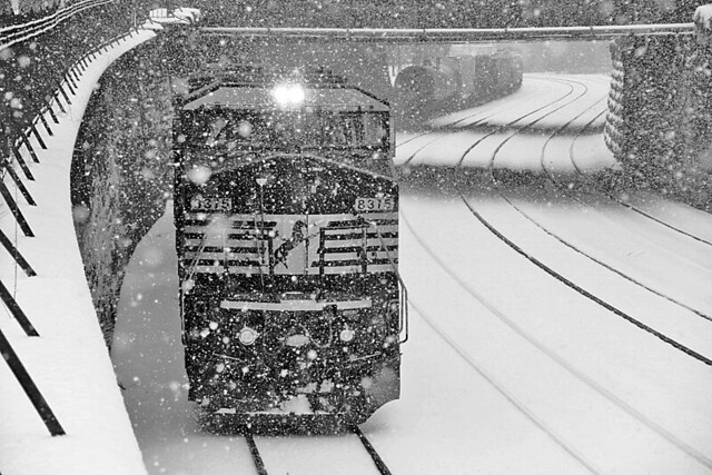 No Problem in the Snow