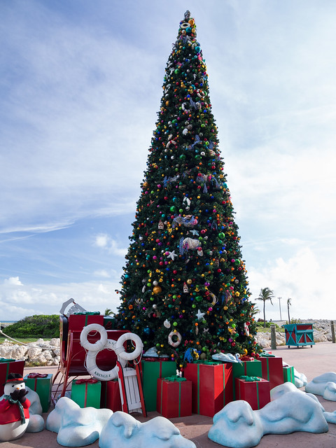 Castaway Christmas