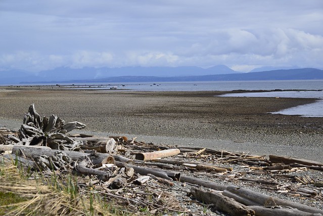 The view from the beach behind Comox Airport