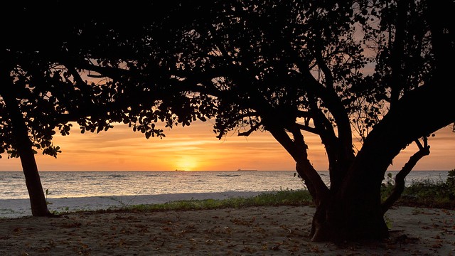 Apo Reef Philippines