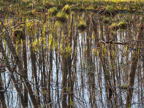 in Endla protected area | by nipitiri123