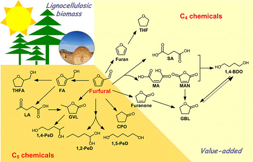 Furfural: A Promising Platform Chemical