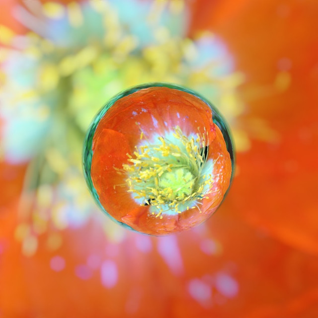 My Marble Heart - Using a Soratama Lens \|/ 