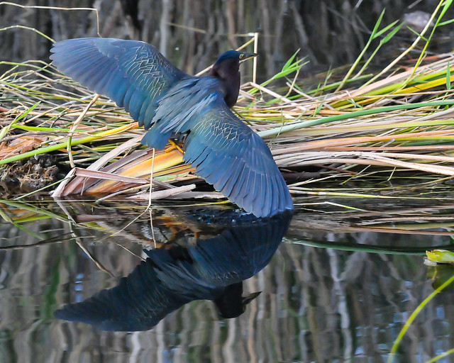 Soft Landing...