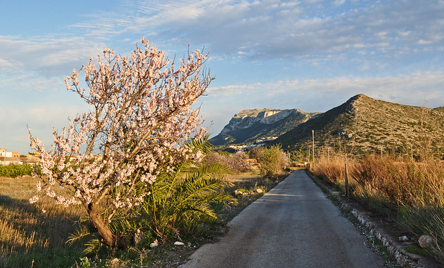 Frühling