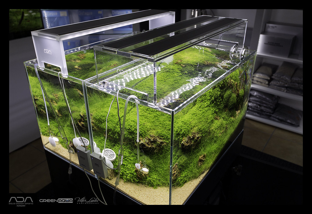【僕星】ADA AQUASKY MOON　601 ADA Aquasky Moon 601 | Aquasky Moon is here from ADA Japan
