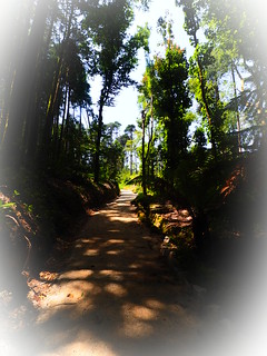 walking trail