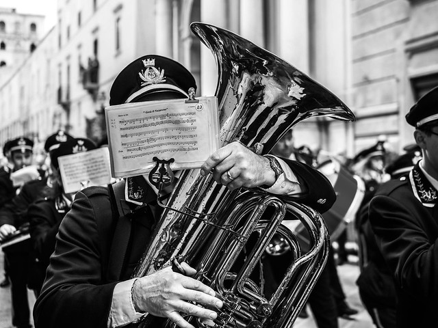 The wind section