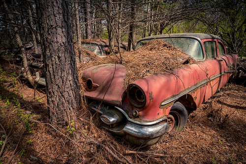 Talking Again | by Wayne Stadler Photography